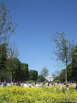 Un jardin extraordinaire à Paris (Champs-Élysées)