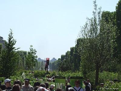 Un jardin extraordinaire à Paris (Champs-Élysées) Un jardin extraordinaire à Paris (Champs-Élysées)