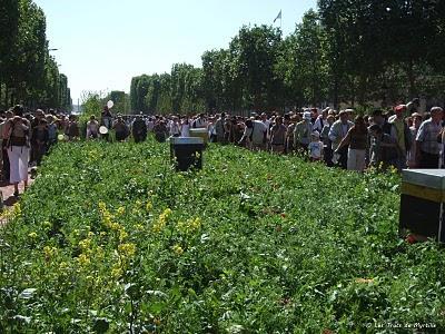 Un jardin extraordinaire à Paris (Champs-Élysées) Un jardin extraordinaire à Paris (Champs-Élysées)