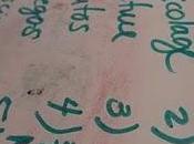 chemin simplicité:: premiers pas.