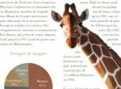 Pages, Keynote Numbers disponibles Store