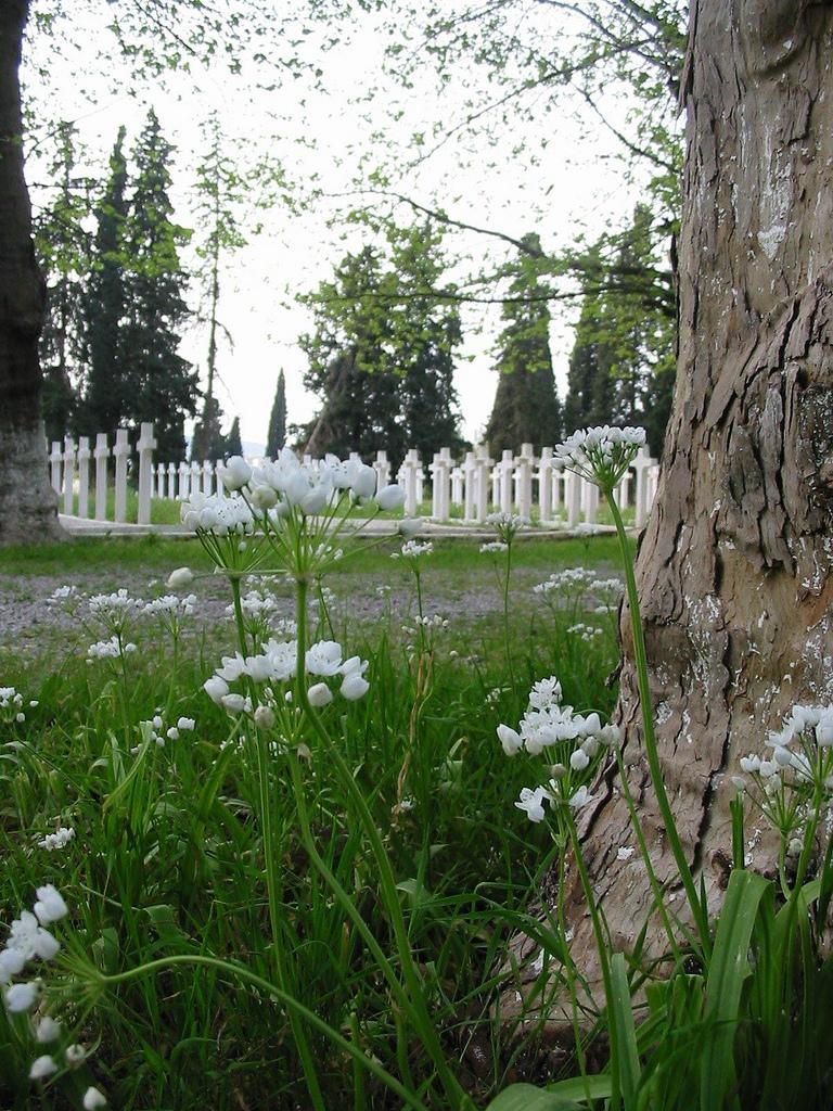 Cimetière chrétien de Fès