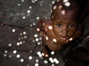 lièvre, tortue... leurs tragédies.