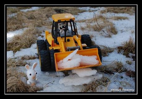 Les lapins crétins dégagent la neige
