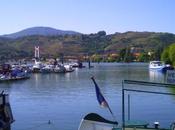 Port Saint-Clair Rhône 2010