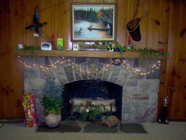 DIVIN FRELON / DIVINE HORNET