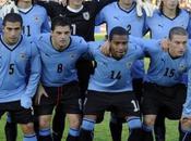 Profil Coupe Monde Uruguay, Celeste