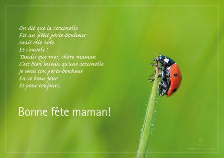 Une jolie carte pour maman ! Fete_des_meres_06