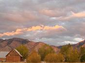 Carnets Cuisine d'Auralyn