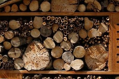 De passage au jardin Godron