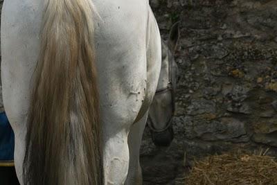 Journée médiévale à Liverdun (3)