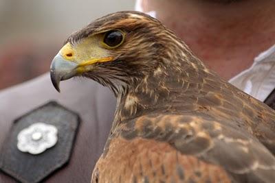 Journée médiévale à Liverdun (3)