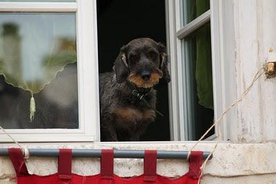 Journée médiévale à Liverdun (3)