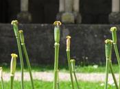 Petit pause cloître Saint Étienne