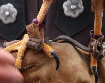 Journée médiévale à Liverdun (2)