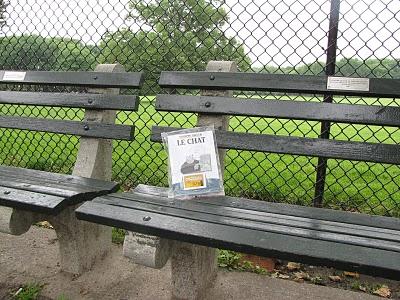 musicbookcrossing in NY