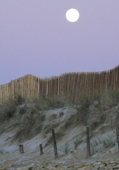 Dune lune - La lune se couche sur la  dune.