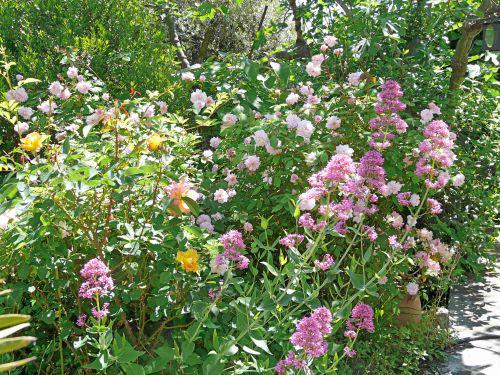 Mai 2010 : les Saints de Glace nous rappellent à l'ordre !