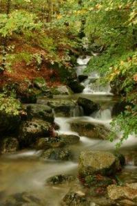 Journée de la randonnée ce matin à partir de 10h au Col de Vizzavona