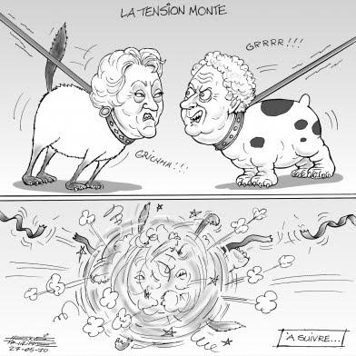 Caricatures : semaine du 24 au 30 mai 2010