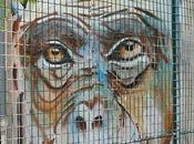 Joyeux Anniversaire Christophe