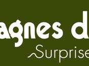 montagnes Jura tentent bien