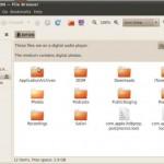 Ubuntu perce la sécurité de l’Iphone OS