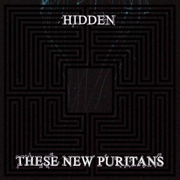 THESE NEW PURITANS (INTERVIEW) ::: Dream brother
