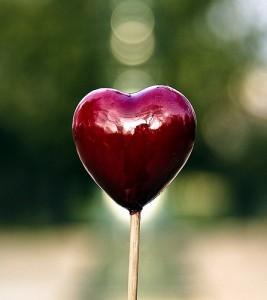 Les brèves de bac à sable