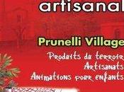 Foire Rurale 4ème édition Grand Marché Artisanal week-end Prunelli Fiumorbu