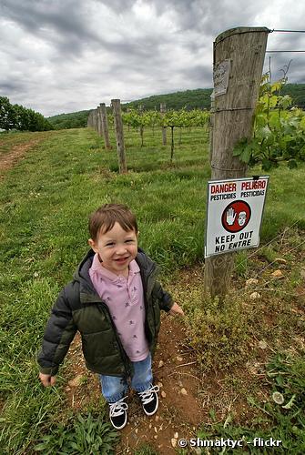 Hyperactivité des enfants : les pesticides sur le banc des accusés