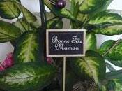 Cette grosse arnaque fete mères