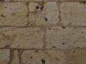 c’est pied qu’on reconnait Masson