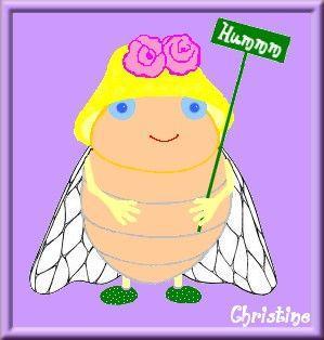 ~~ Tsss Tsss Tsss... les Cigales sont de retour ~~ cigale2