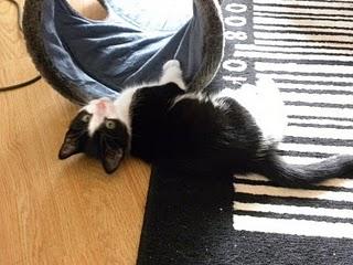 3 consonnes et 2 voyelles...