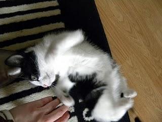 3 consonnes et 2 voyelles...