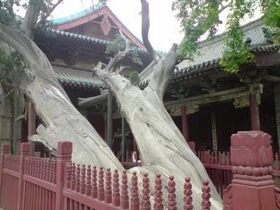 Dix bonnes raisons d'aller à Pingyao (平遥)