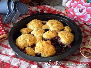 COBBLER