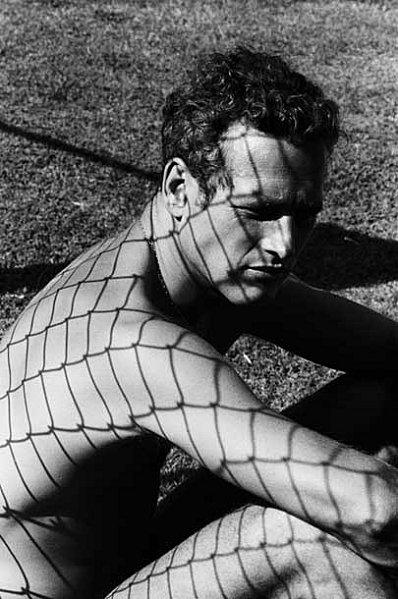 Paul-Newman-1964-copyright-Dennis-Hopper.jpeg