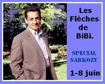 Les Flèches de BiBi (Spécial Sarkozy).