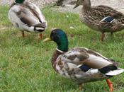 n'est jamais trop belle