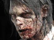 Walking Dead Zombies!