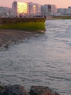 Jeu idiot de juin (bis)