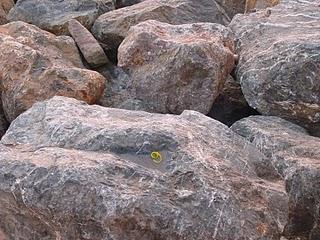 Jeu idiot de juin (bis)