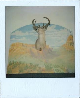 Harlem : http://www.myspace.com/harlemduh