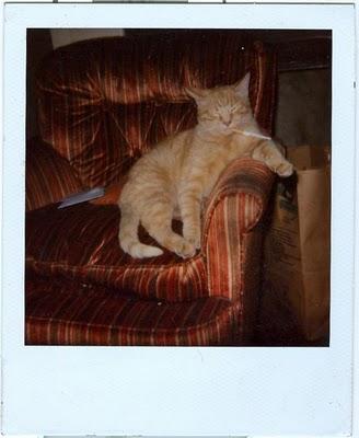 Harlem : http://www.myspace.com/harlemduh