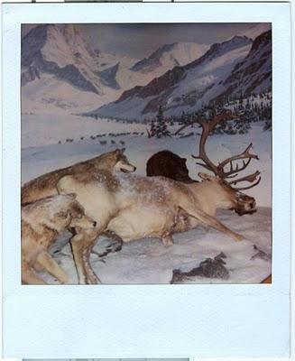 Harlem : http://www.myspace.com/harlemduh