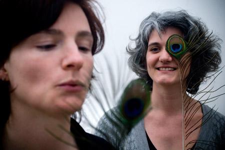 tribu oiseaux 06 10 années et quelques plumes