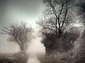 L'échappée Valentine Goby)