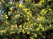 Rappelez-moi qu'un amour m'attend...